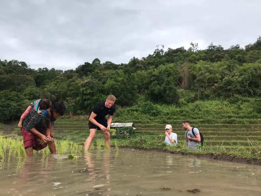 Chiang Mai: 2 Days, 1 Night Non-Tourist Trek - Three to four hours of jungle walking