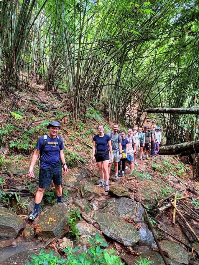 Chiang Mai: 2-Days Jungle Trek, Waterfalls and Karen Village - Key points at a glance