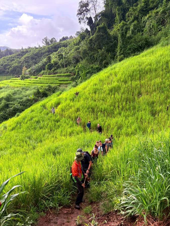 Chiang Mai: 2-Days Jungle Trek, Waterfalls and Karen Village - Day two: jungle paths, another village, and a final swim