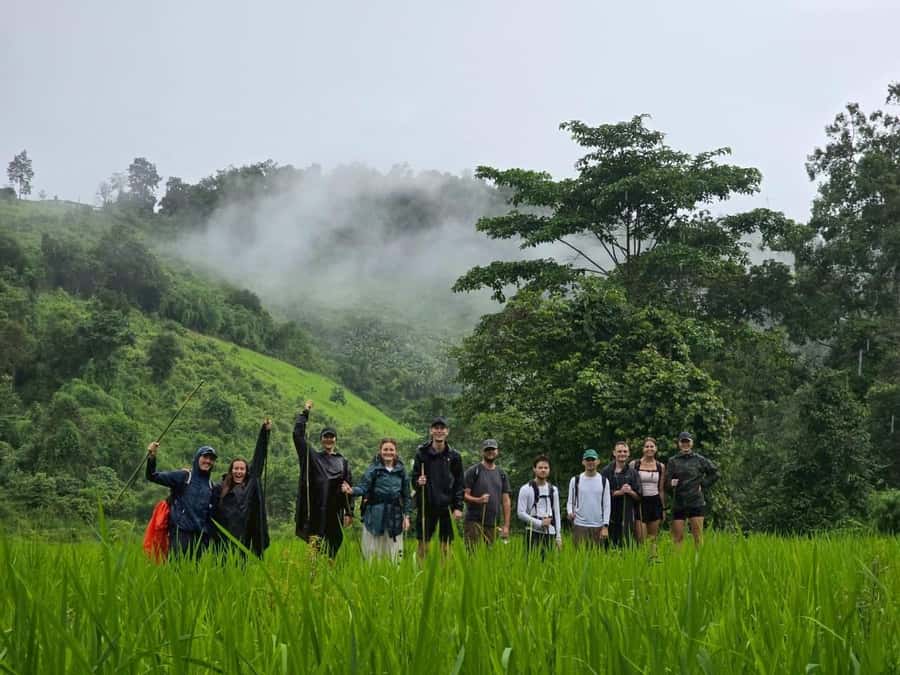 Chiang Mai: 2-Days Jungle Trek, Waterfalls and Karen Village - Guides make the forest easier to read