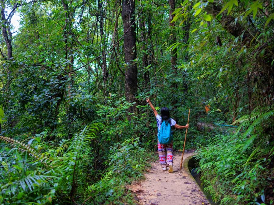 Chiang Mai: 3-Day Karen Hill Tribe Immersion with Trekking - Day 1: From Chiang Mai to the forest camp