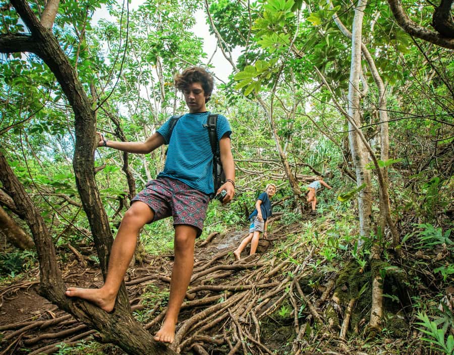 Chiang Mai: 3-Day Karen Hill Tribe Immersion with Trekking - Day 3: Waterfalls, farms, and the long return