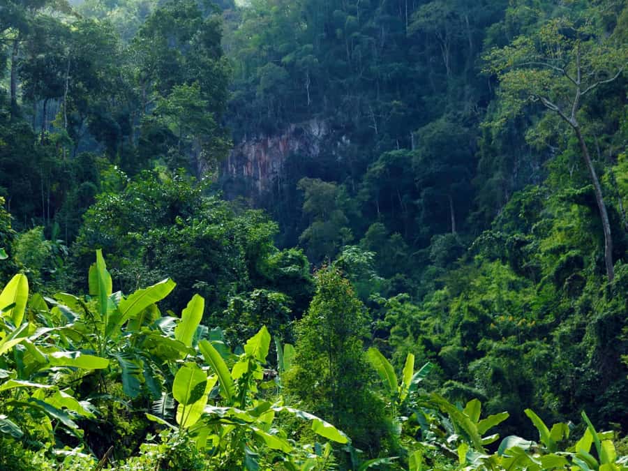 Chiang Mai: 3-Day Karen Hill Tribe Immersion with Trekking - Guide quality and group size