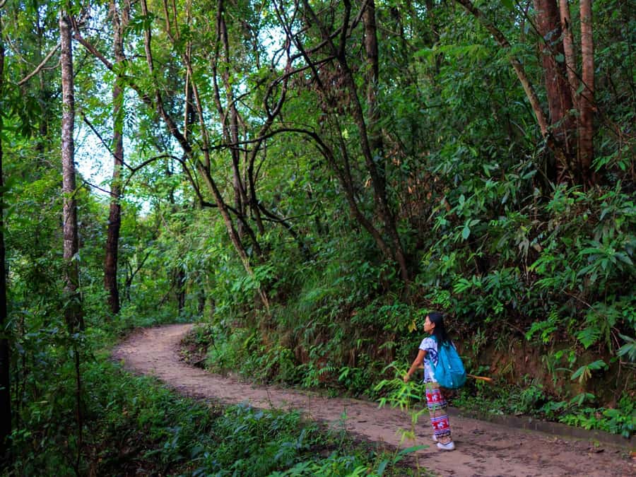 Chiang Mai: 3-Day Karen Hill Tribe Immersion with Trekking - Who should book this trip