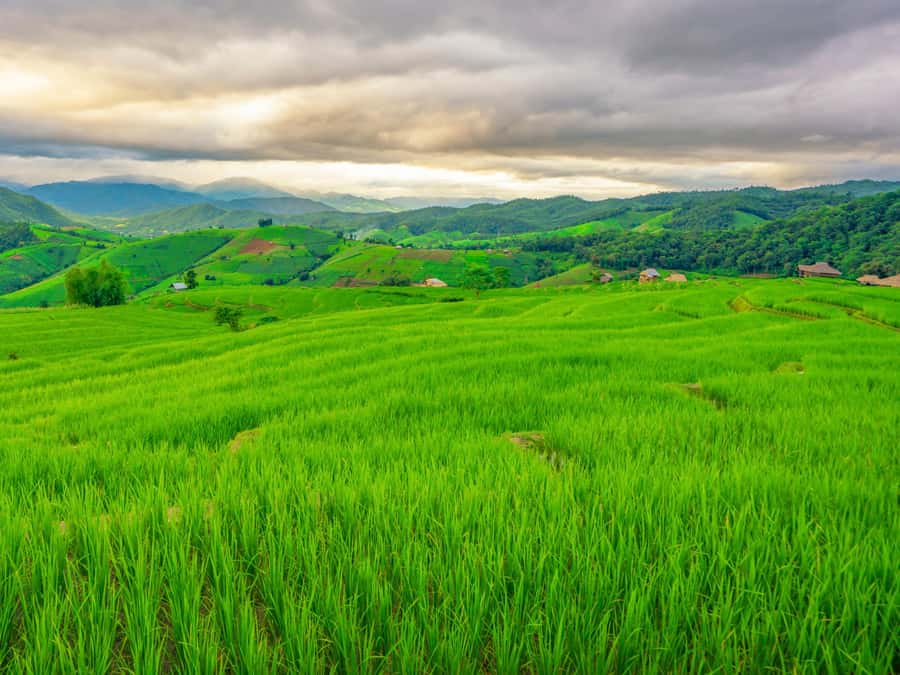 Chiang Mai: 3-Day Karen Hill Tribe Immersion with Trekking - Should you book the Karen hill tribe trek?