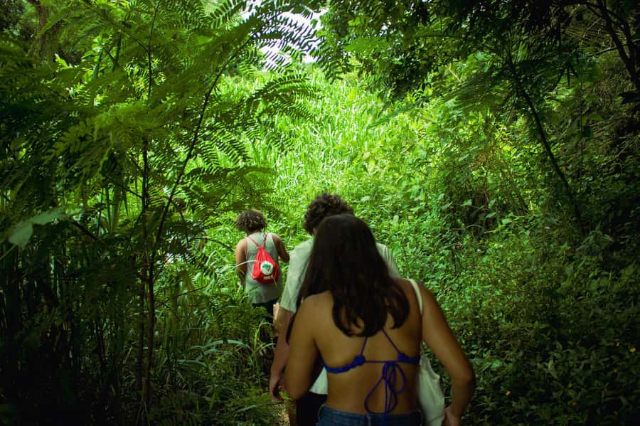 Chiang Mai: 3-Day Karen Hill Tribe Immersion with Trekking - Day 2: Forest wildlife and two village communities