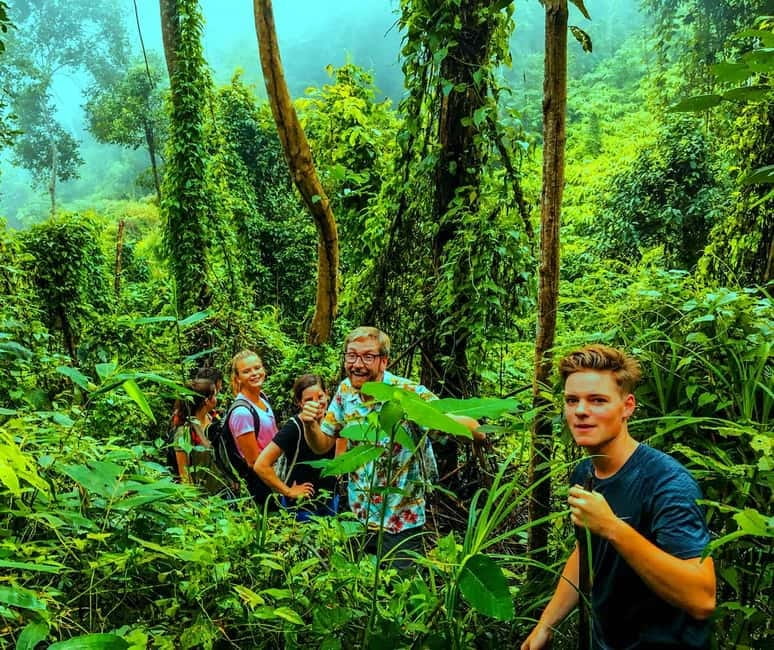 Chiang Mai: 7-Hour Doi Suthep National Park Summit Hiking - Who should book this hike?