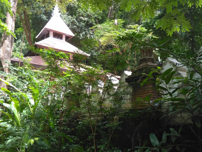 Chiang Mai: 7-Hour Doi Suthep National Park Summit Hiking - The hard part: two and a half hours through Doi Suthep-Pui