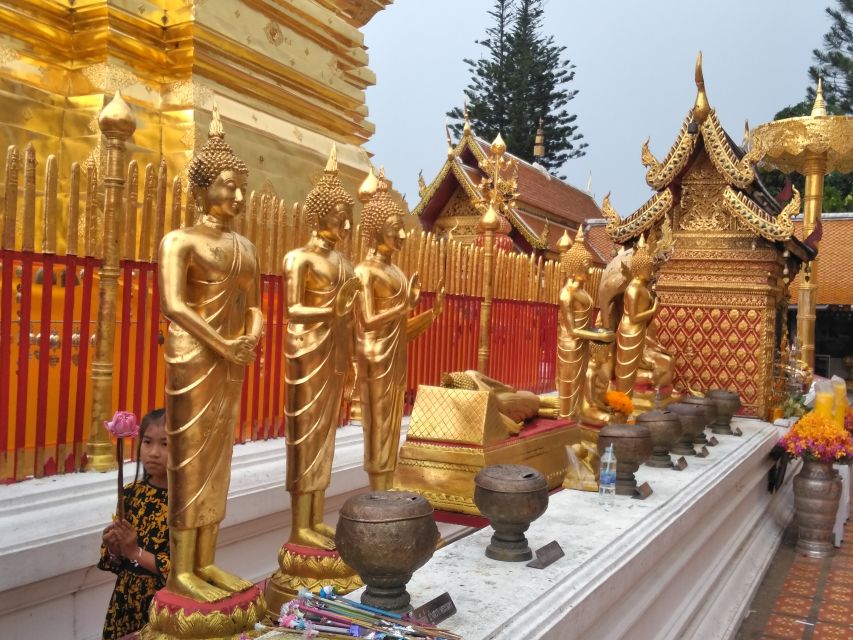 Chiang Mai: 7-Hour Doi Suthep National Park Summit Hiking - Doi Pui and the Hmong village