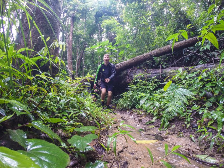 Chiang Mai: 7-Hour Doi Suthep National Park Summit Hiking - How the guides shape the day