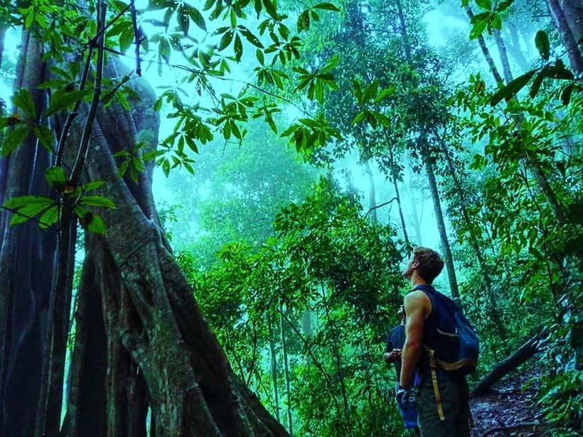 Chiang Mai: 7-Hour Doi Suthep National Park Summit Hiking - Is $60 good value?