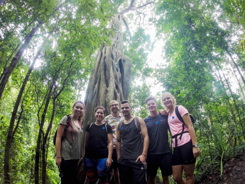 Chiang Mai: 7-Hour Doi Suthep National Park Summit Hiking - Wat Pha Lat, a calm break in the forest