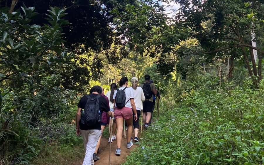 Chiang Mai: ATV Adventure, Jungle Hike & White Water Rafting - Should you book the Chiang Mai adventure day?