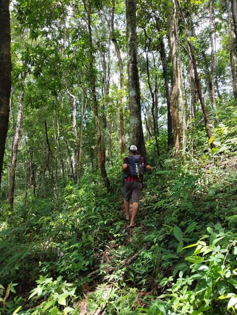 Chiang Mai Authentic Trekking - Lunch in the forest