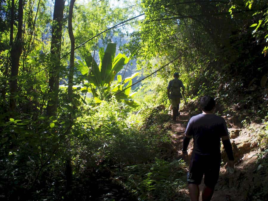 Chiang Mai: Chiang Dao Caves and Jungle Trek with Lunch - A 45-minute to one-hour hot spring break