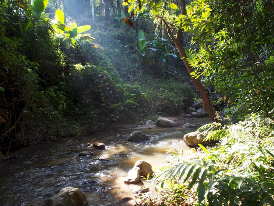 Chiang Mai: Chiang Dao Caves and Jungle Trek with Lunch - Wat Ban Den and its bright blue details