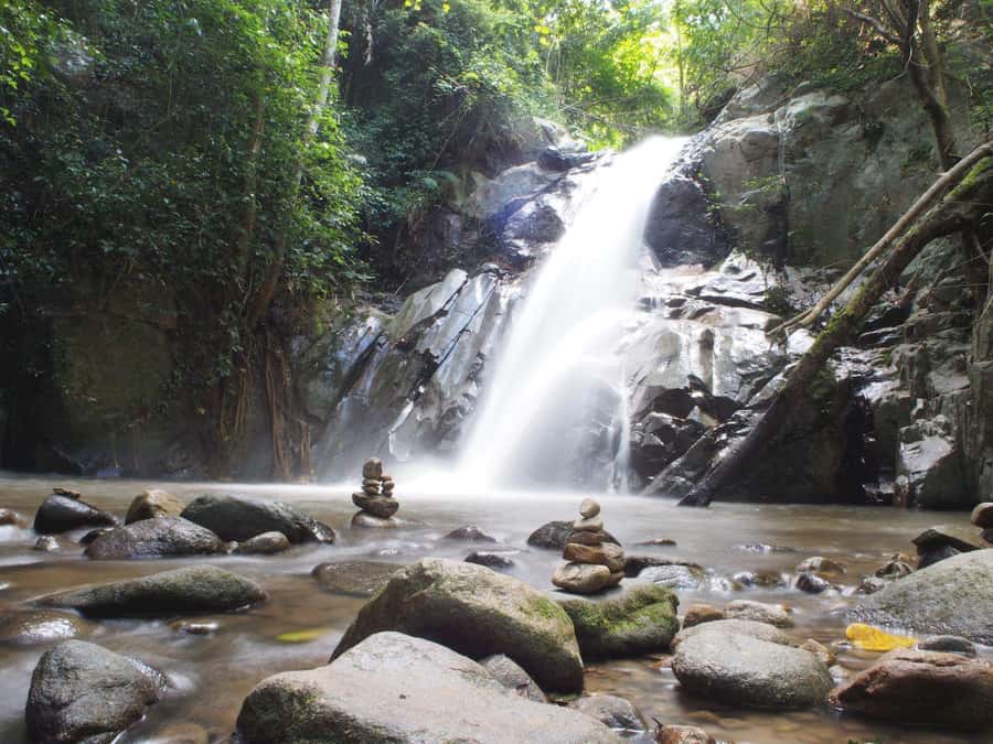 Chiang Mai: Chiang Dao Caves and Jungle Trek with Lunch - What the $109 price is buying you