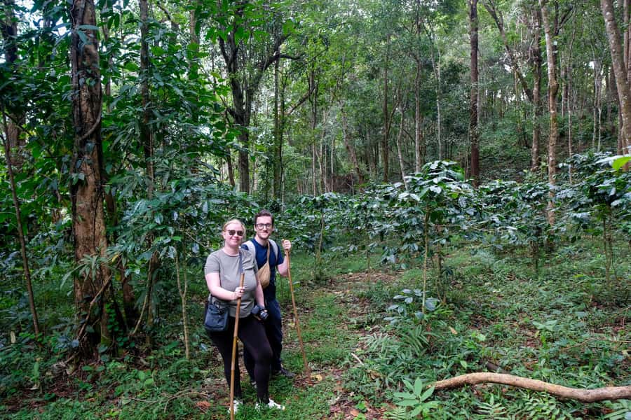Chiang Mai Coffee Full Day Tour: Trek, Brew & Roast Journey. - Why this coffee tour feels different