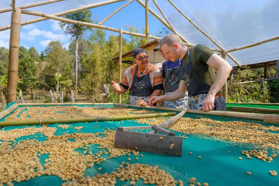 Chiang Mai Coffee Full Day Tour: Trek, Brew & Roast Journey. - Meeting the hill-tribe farming tradition