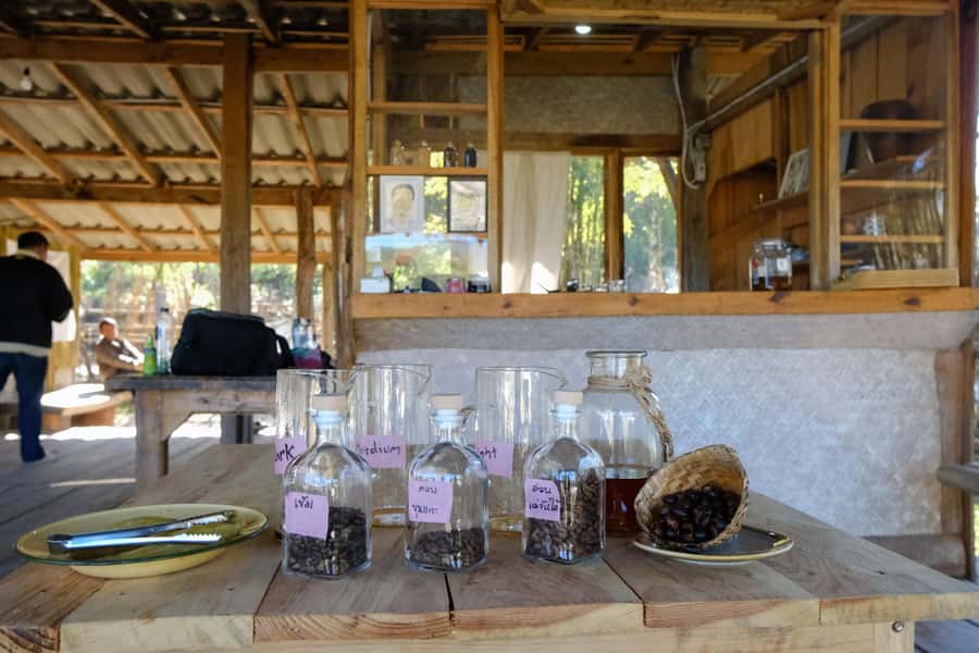Chiang Mai Coffee Full Day Tour: Trek, Brew & Roast Journey. - A fresh lunch from the mountain garden