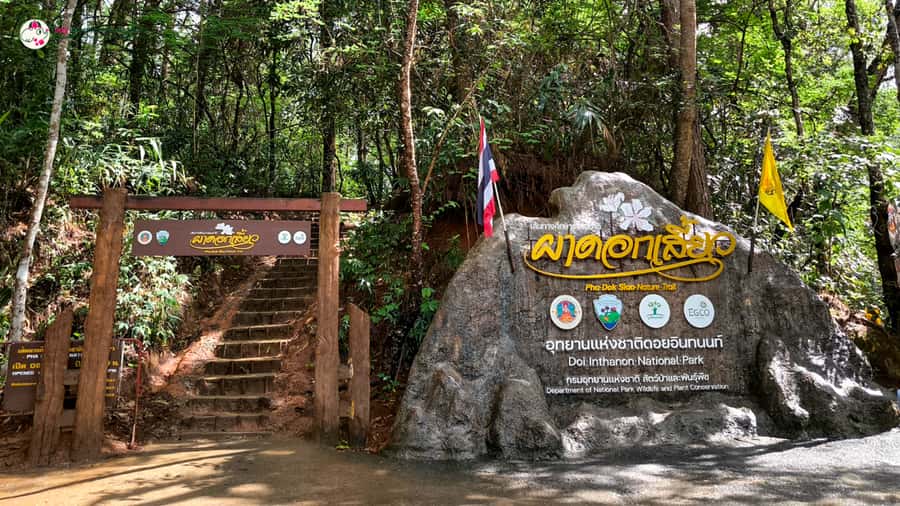 Chiang Mai: Doi Inthanon and Elephant Sanctuary Tour & Hike - Key points to know before booking