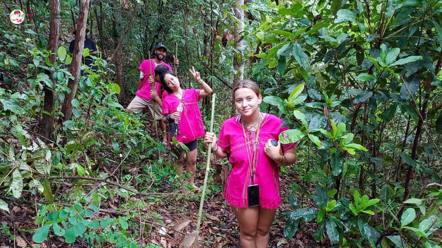 Chiang Mai: Doi Inthanon and Elephant Sanctuary Tour & Hike - What to pack and who should book