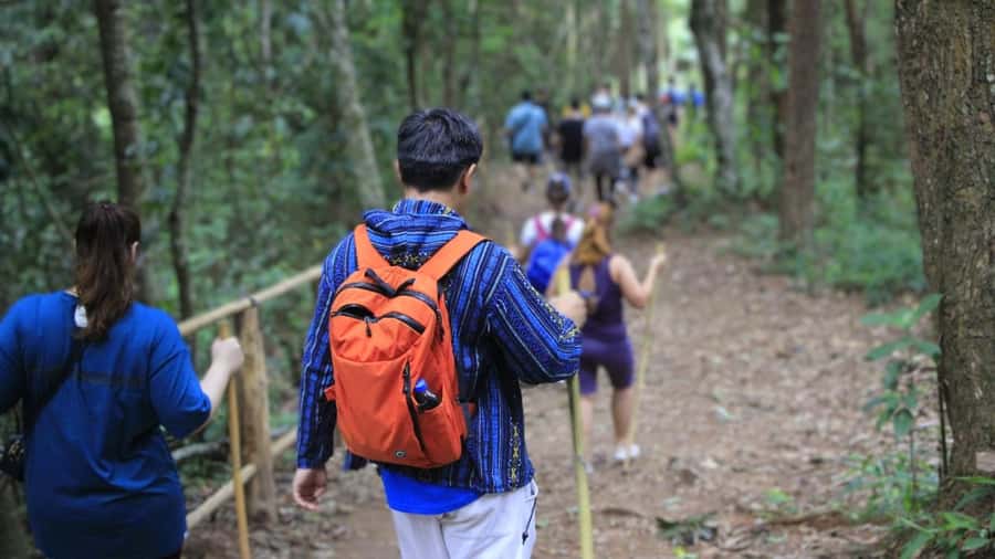 Chiang Mai: Doi Inthanon and Elephant Sanctuary Tour & Hike - Why this Chiang Mai day works so well