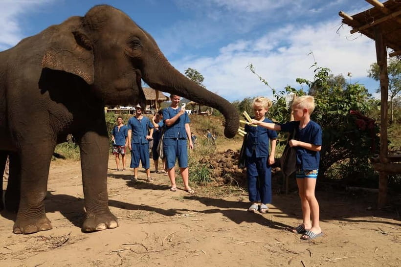 Chiang Mai: Doi Inthanon Hiking & Elephant Sanctuary Program - Key points at a glance