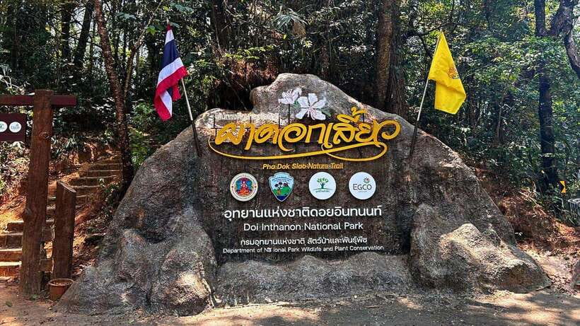 Chiang Mai: Doi Inthanon National Park and Pha Dok Siew Trek - Why Doi Inthanon makes a rewarding day out