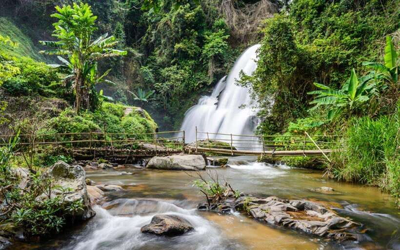 Chiang Mai: Doi Inthanon National Park and Pha Dok Siew Trek - King and Queen Pagodas and their gardens