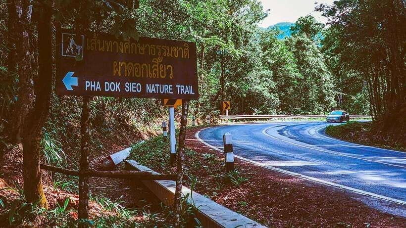 Chiang Mai: Doi Inthanon National Park and Pha Dok Siew Trek - Guides make a real difference