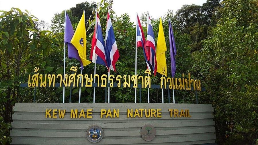 Chiang Mai:Doi Inthanon National Park & Hike at Kew Mae Pan - Who will enjoy this Doi Inthanon tour most
