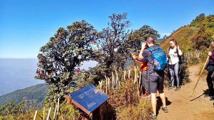 Chiang Mai:Doi Inthanon National Park & Hike at Kew Mae Pan - A Hmong market stop with lunch and shopping