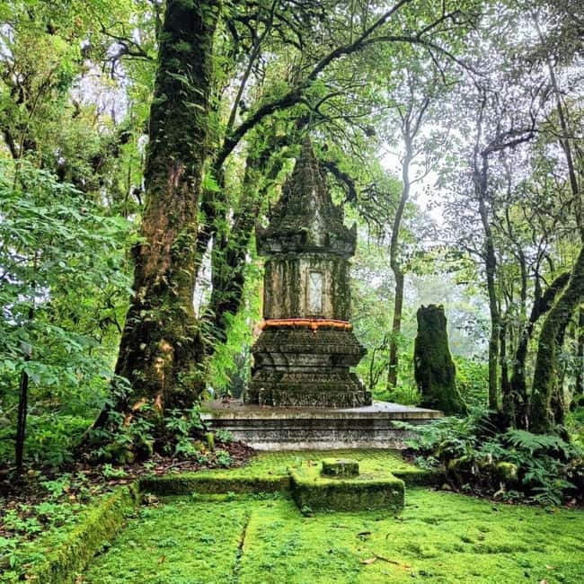 Chiang Mai: Doi Inthanon National Park+Trek Pha Dok Siew - What the two-hour Pha Dok Siew walk is really like