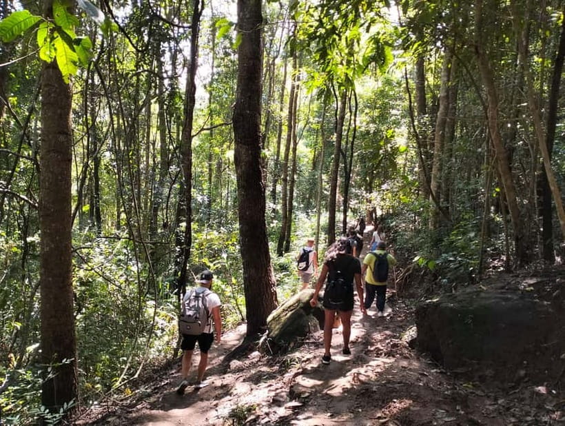 Chiang Mai: Doi Inthanon National Park+Trek Pha Dok Siew - Rak Jung Waterfall and a possible swim