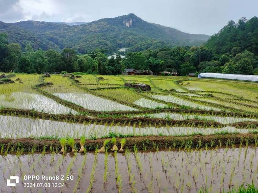 Chiang Mai: Doi Inthanon National Park+Trek Pha Dok Siew - Who should book this Doi Inthanon day trip?