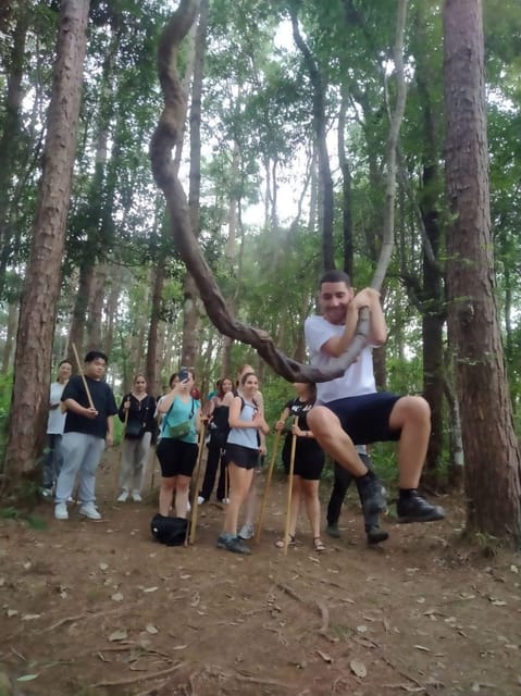 Chiang Mai: Doi Inthanon Park and Pha Dok Siew Hike Day Trip - The return to Chiang Mai and the real time commitment