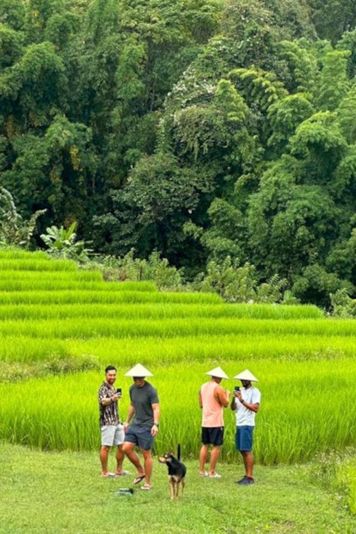 Chiang Mai: Doi Inthanon Park and Pha Dok Siew Trail Trek - Key points at a glance