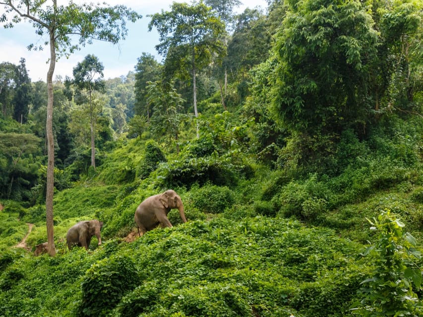 Chiang Mai: Doi Inthanon Park and Pha Dok Siew Trail Trek - The long road from Chiang Mai to the mountain