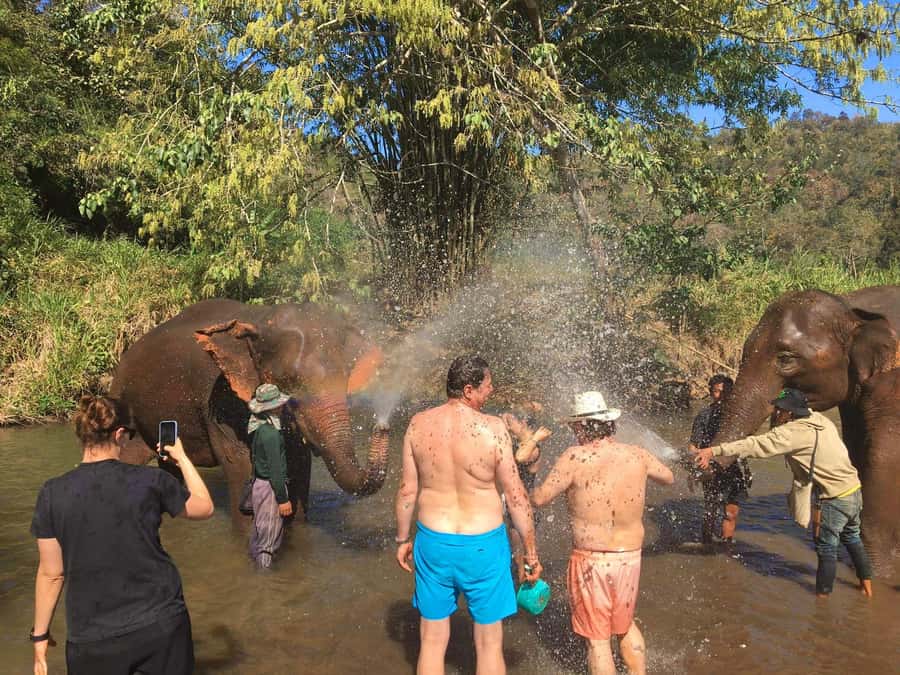 Chiang Mai: Doi Inthanon Park Hiking & Elephants Sanctuary - Who should book this day trip?