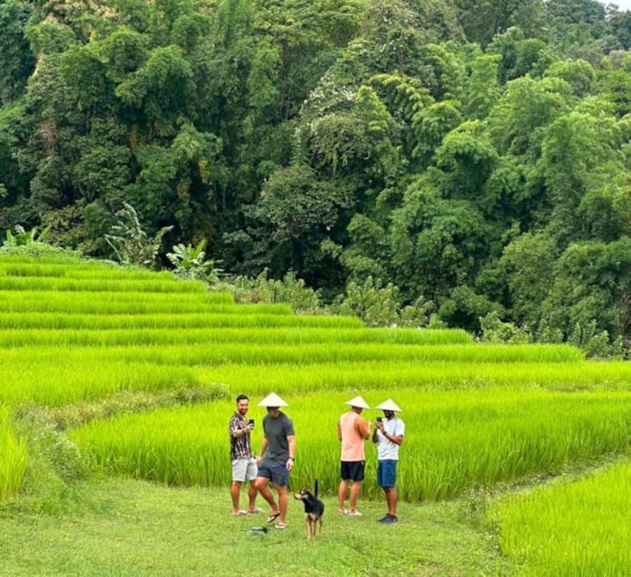 Chiang Mai: Doi Inthanon Park Hiking & Elephants Sanctuary - Why the elephants are the heart of the day