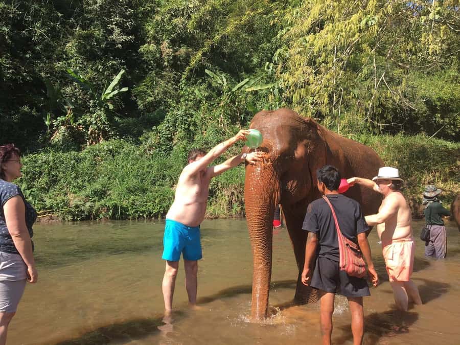 Chiang Mai: Doi Inthanon Park Hiking & Elephants Sanctuary - Lunch is fuel for the afternoon