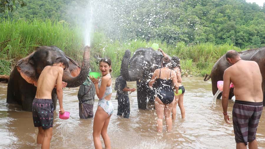 Chiang Mai: Doi Inthanon Park Hiking & Elephants Sanctuary - Is the $76 price good value?