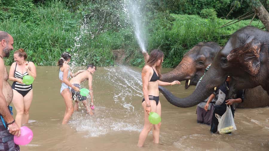 Chiang Mai: Doi Inthanon Park Hiking & Elephants Sanctuary - A high-country stop at Thailand’s highest point