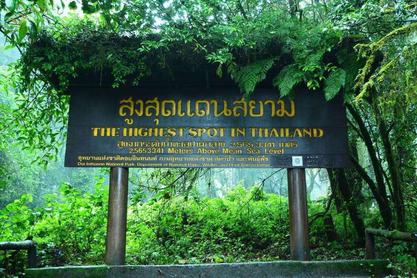 Chiang Mai: Doi Inthanon Park Tour & Kew Mae Pan Trail Hike - Key points to know before you go