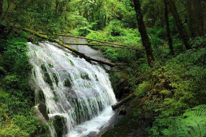 Chiang Mai: Doi Inthanon Park Tour & Kew Mae Pan Trail Hike - How the schedule feels in real life