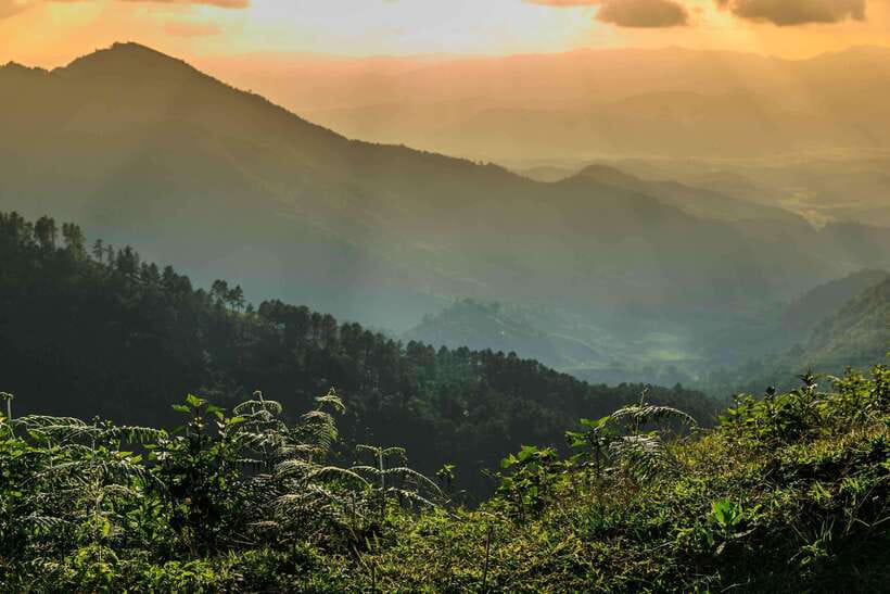 Chiang Mai: Doi Inthanon Park Tour & Kew Mae Pan Trail Hike - The King and Queen Pagodas above the clouds