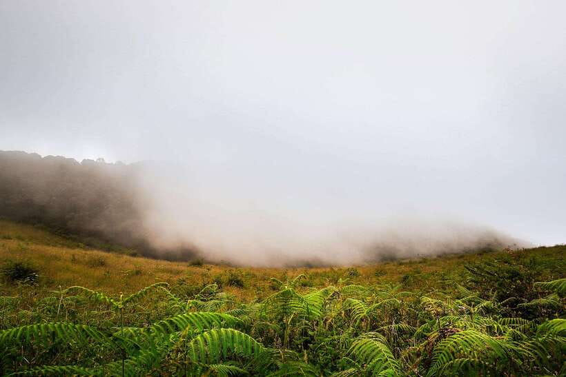 Chiang Mai: Doi Inthanon Park Tour & Kew Mae Pan Trail Hike - Hiking the Kew Mae Pan Nature Trail