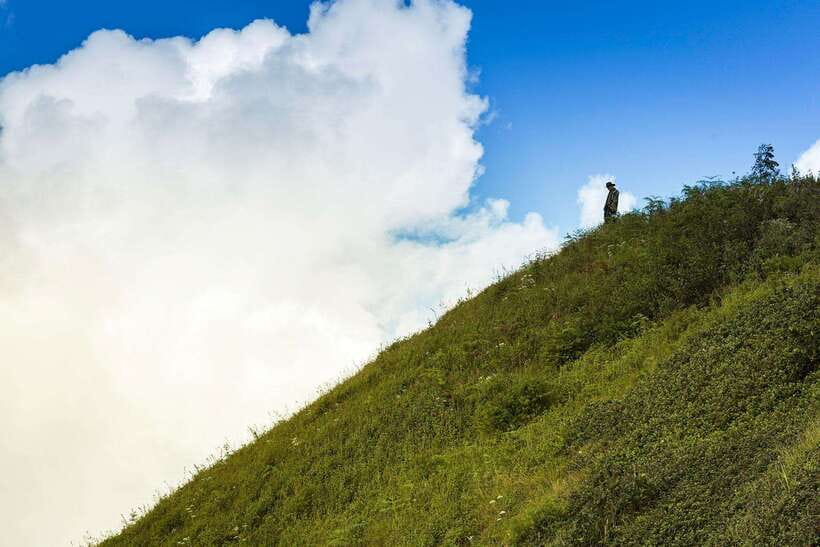 Chiang Mai: Doi Inthanon Park Tour & Kew Mae Pan Trail Hike - Lunch, transport, and the value of the $51 price