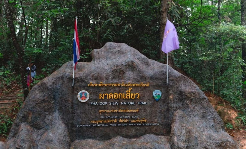 Chiang Mai: Doi Inthanon Trip with Pha Dok Siew Guided Trek - The pagodas: formal gardens above the clouds